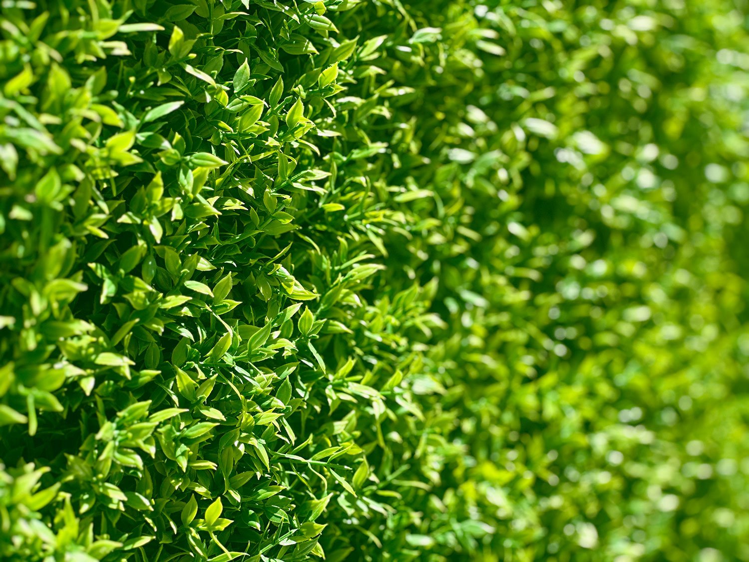 Estadia confortável no alentejo