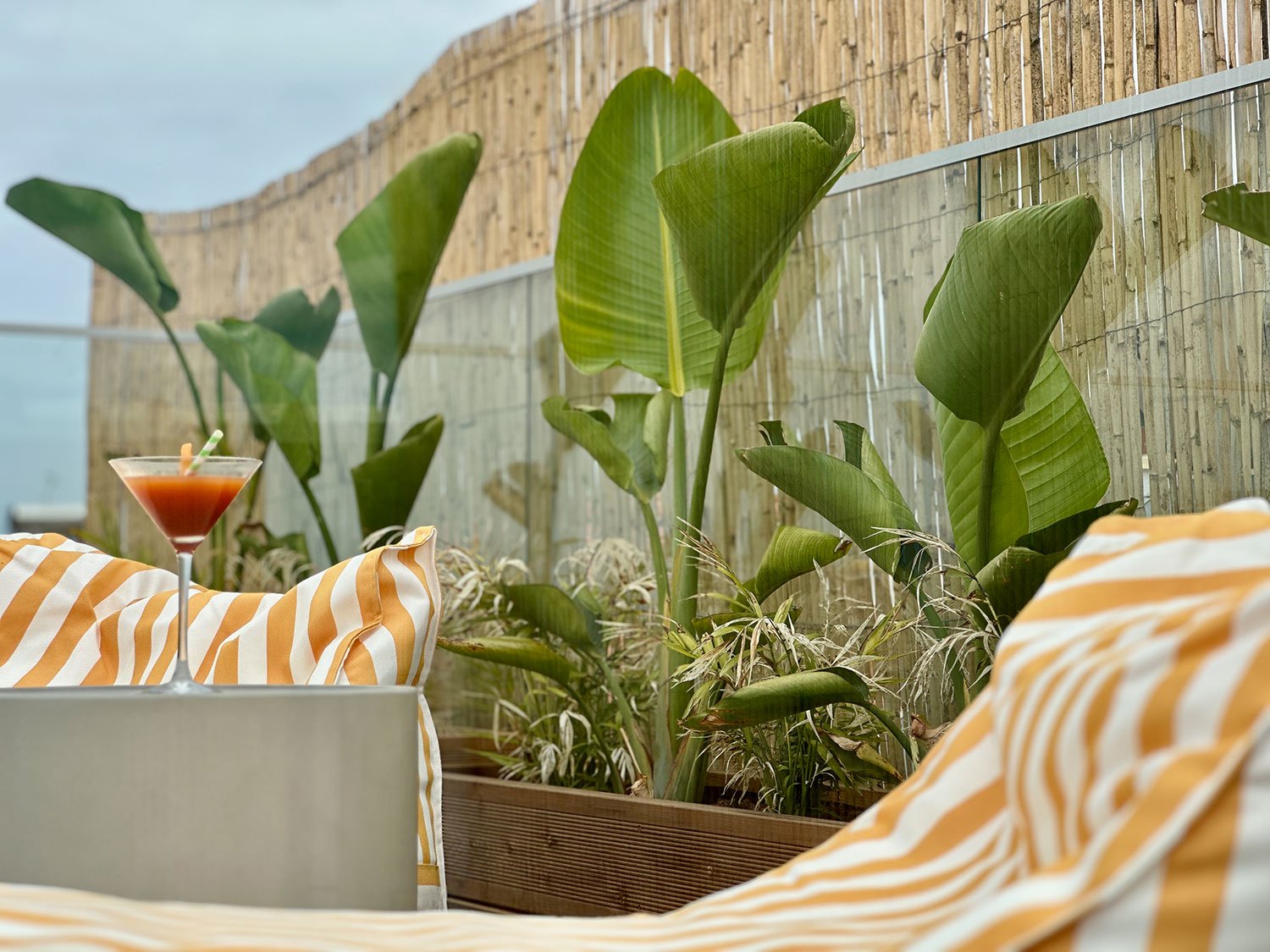 Alentejo Charm House