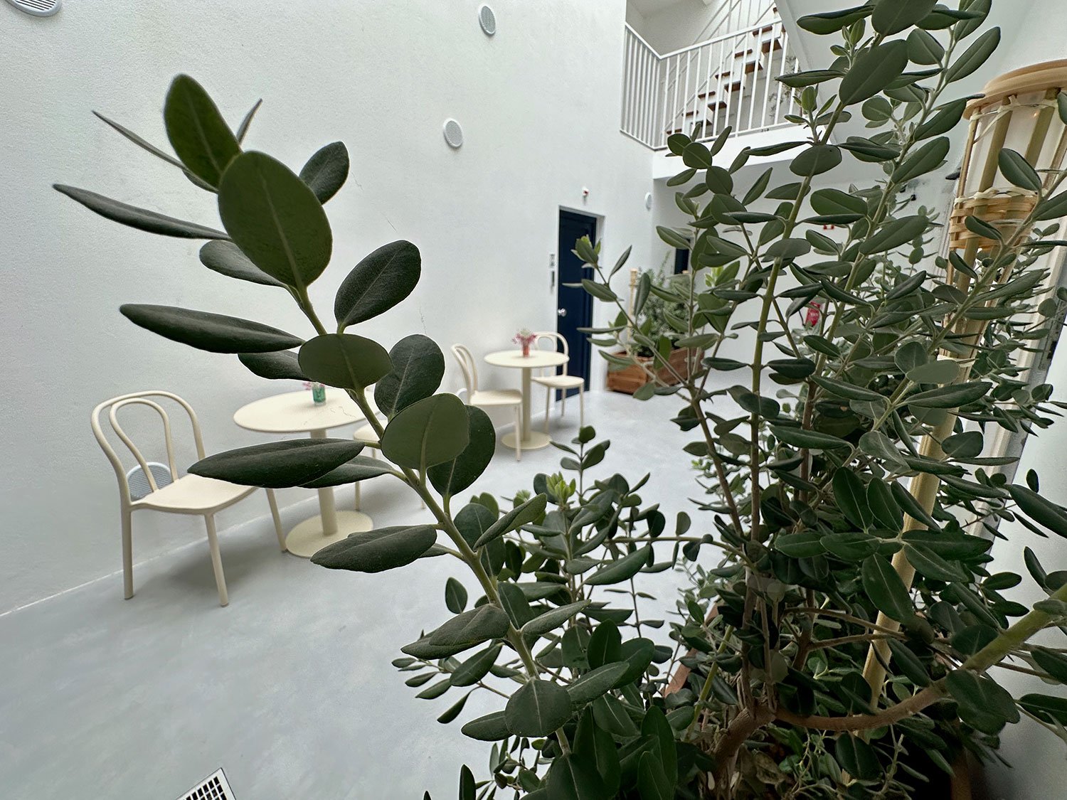 Pateo Interior Alentejo Charm House